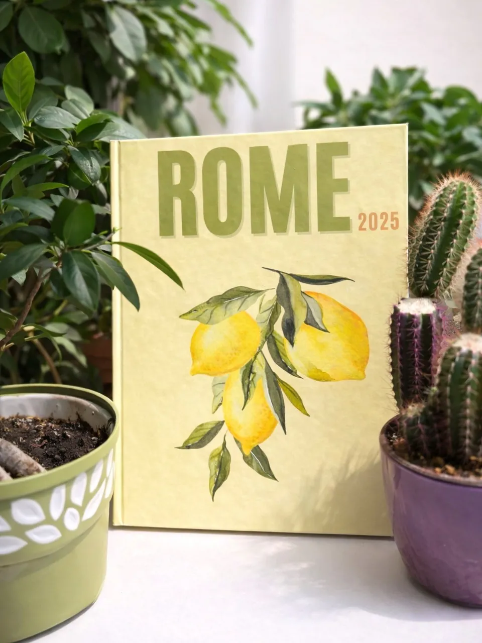 Rome kapaklı fotokitap, saksı bitkileri arasında