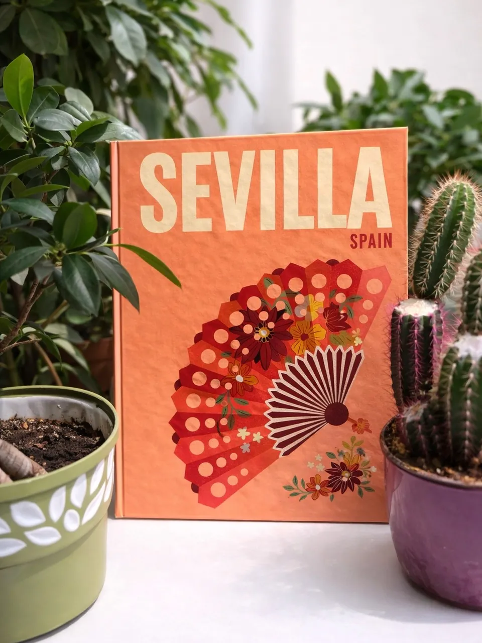 Sevilla kapaklı fotokitap, saksı bitkileri arasında